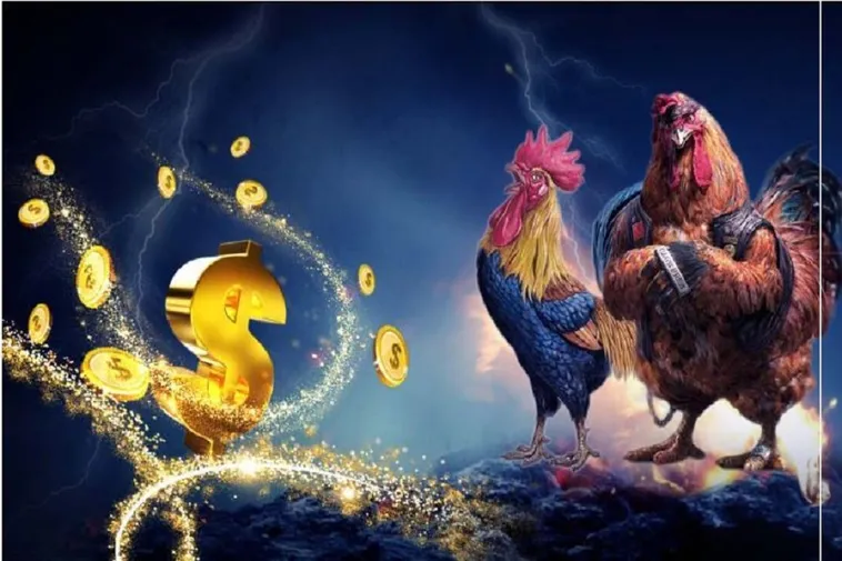 Đá Gà DV88 Kinh Nghiệm Chinh Phục Kèo Cược Hiệu Quả 1 Đá Gà DV88 Kinh Nghiệm Chinh Phục Kèo Cược Hiệu Quả