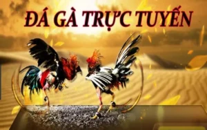 Bí Quyết Thắng Lớn Với Đá Gà GA28 Tại DV88 Trong 2025